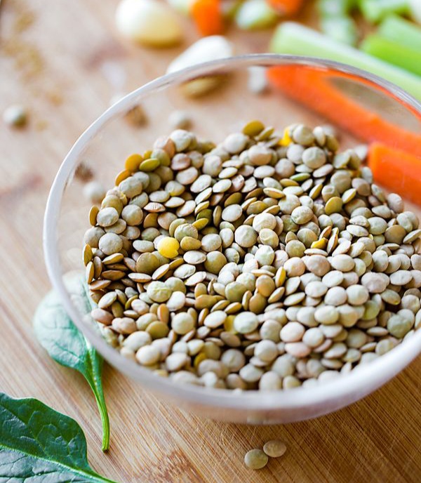 Logistics & Cold-Chain Shipping Solutions for Bulk Iranian Lentil Export